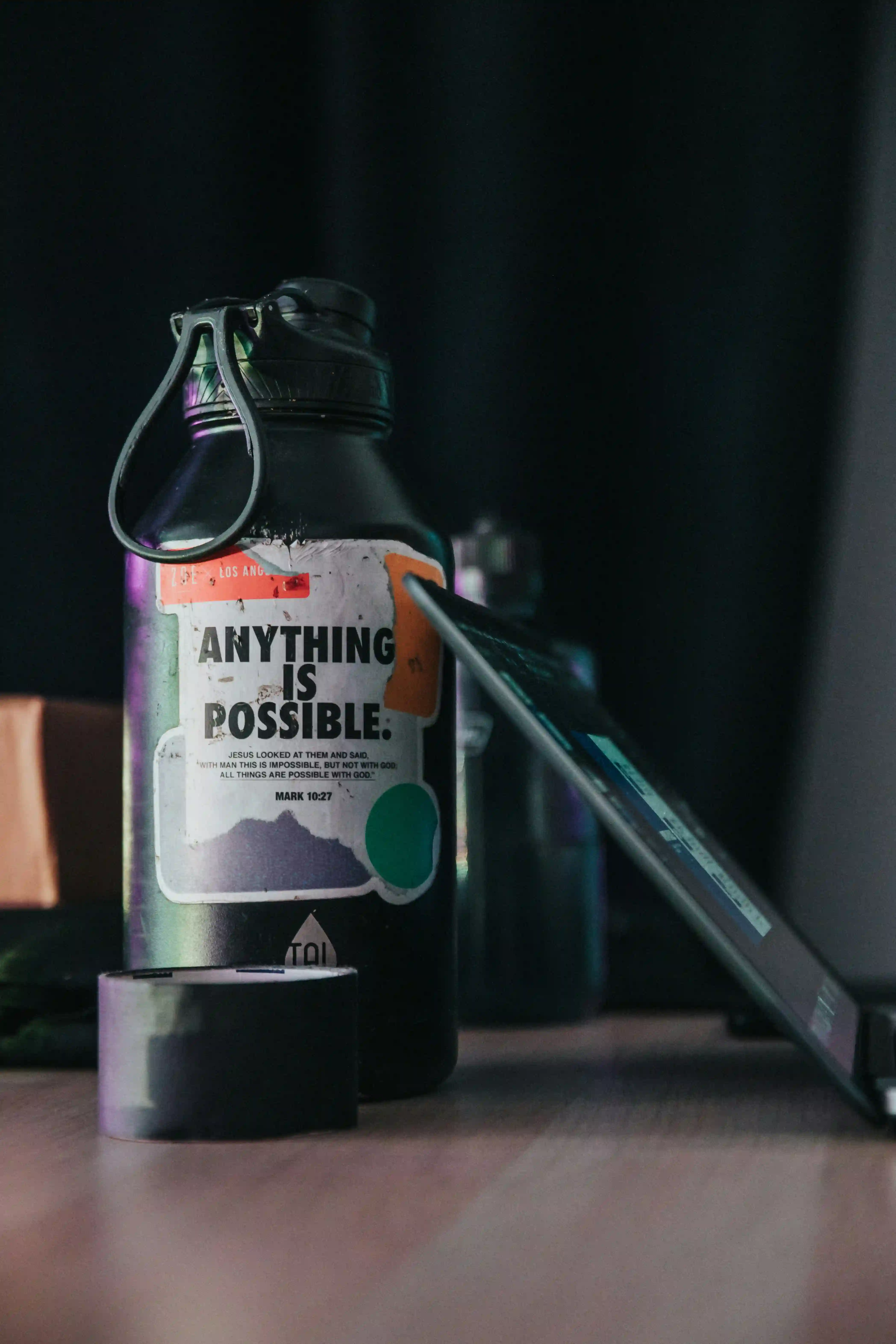 Pest Control Services Sharjah